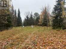 2648 & 2652 Canoe Point RD | St. Joseph Ontario | Slide Image Eight