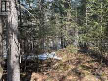 Lot 12-Con10 BARRYVALE ROAD | Calabogie Ontario | Slide Image Six