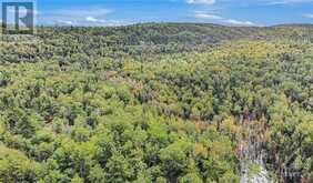 Lot 14&15 TRIPLE TOWER ROAD | Lanark Highlands Ontario | Slide Image Twenty-four