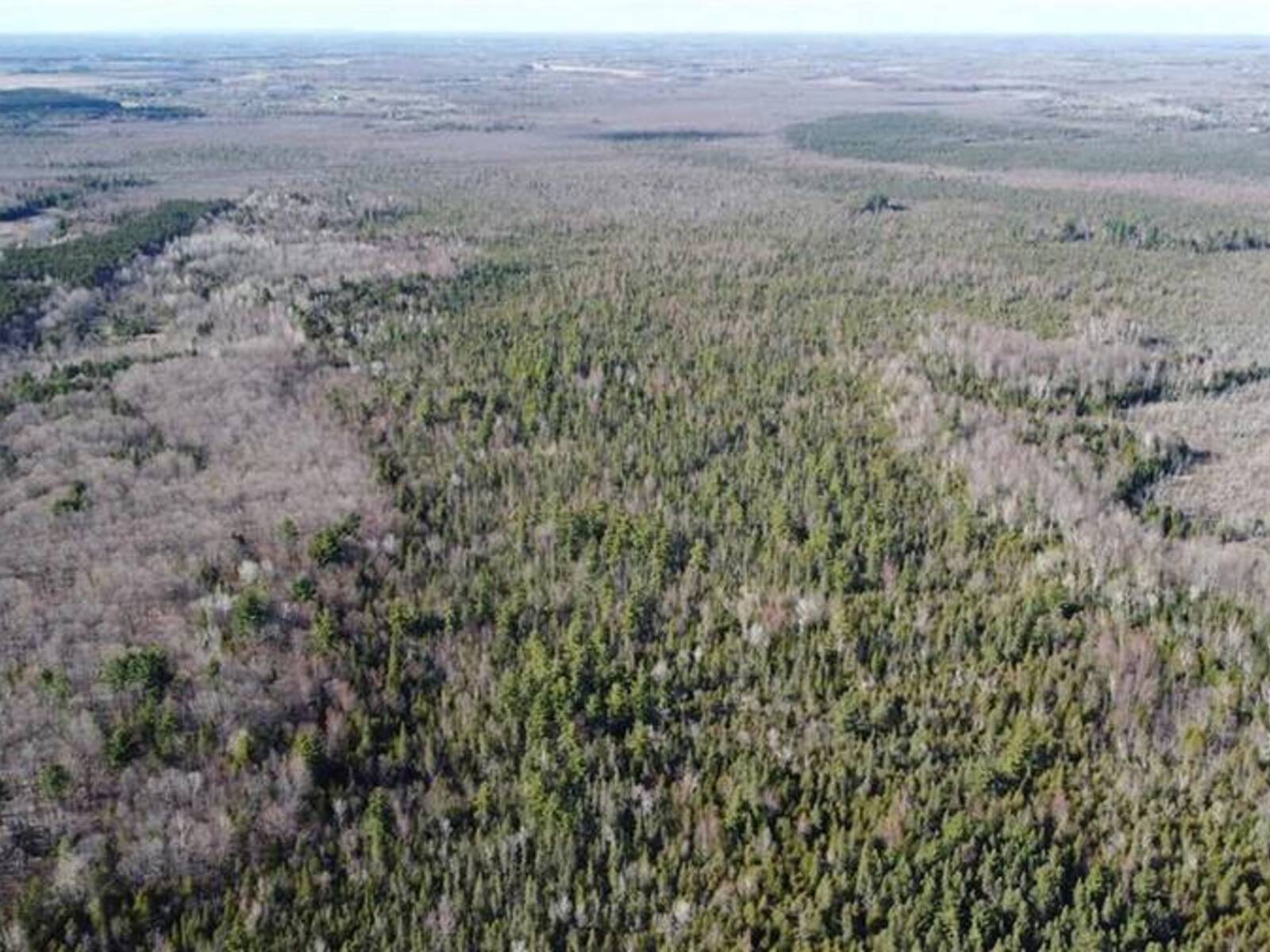 Lot 6 CONCESSION 8 ROAD, Cardinal, Ontario K0E 1X0