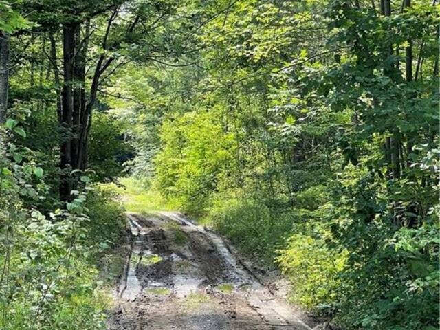 00 B CONCESSION ROAD 4 ROAD Plantagenet Ontario, K0B 1L0