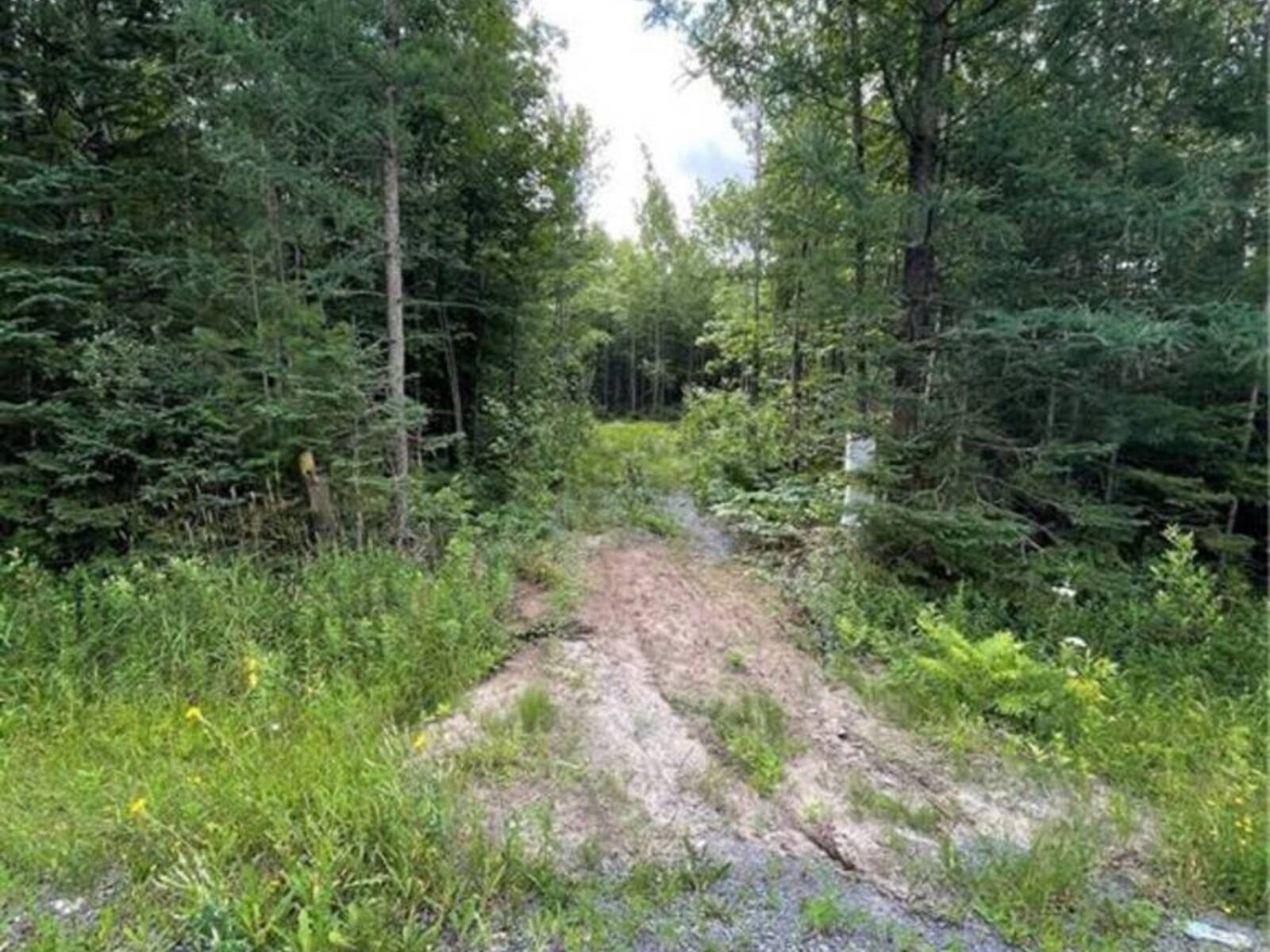 00 A2 CONCESSION ROAD 4 ROAD, Plantagenet, Ontario K0B 1L0