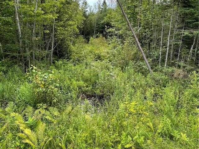 00 A1 CONCESSION ROAD 4 ROAD Plantagenet Ontario, K0B 1L0