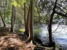 3 SAND ISLAND | Portland Ontario | Slide Image Eight