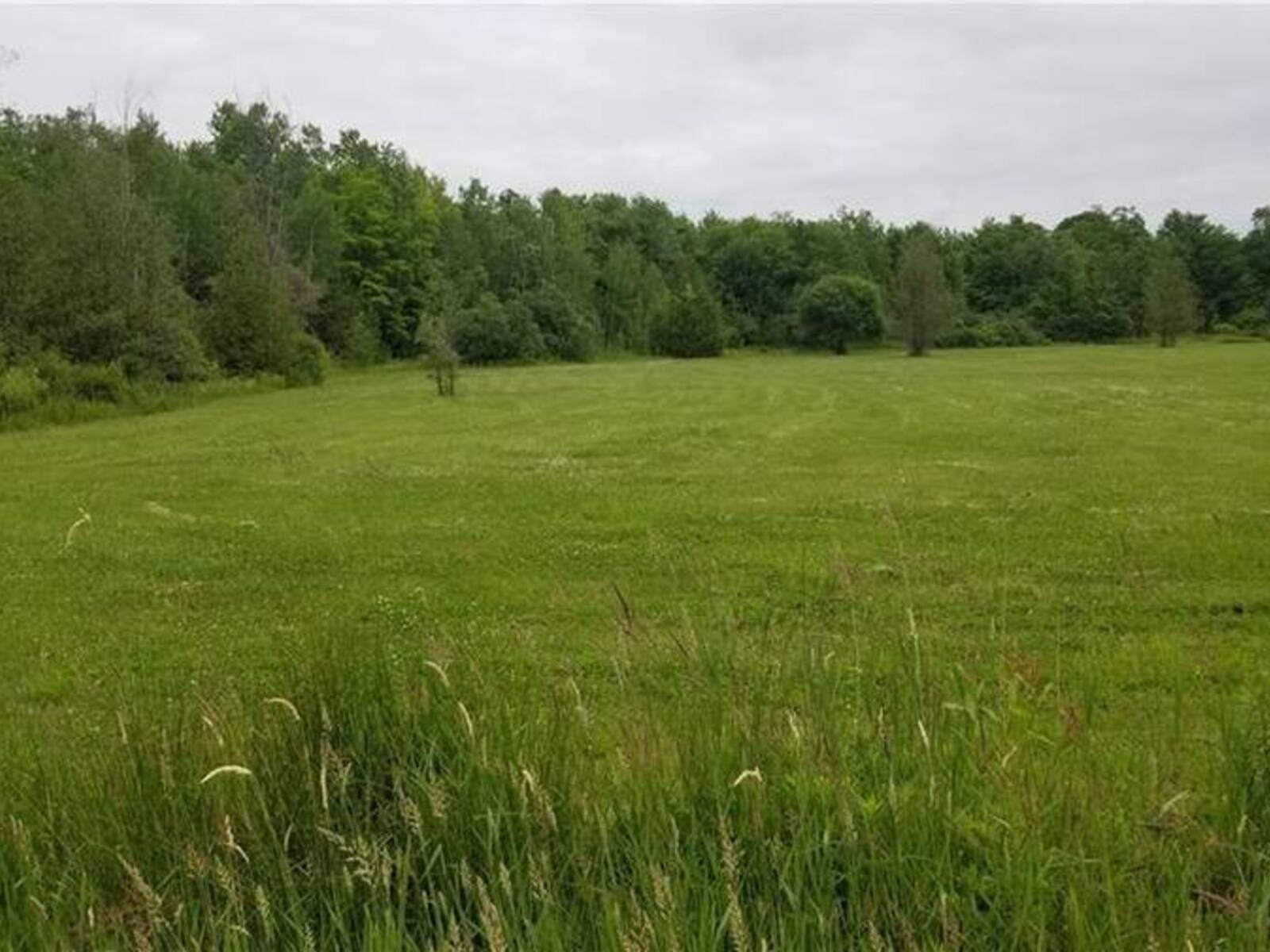 1621 8TH LINE ROAD, Metcalfe, Ontario K0A 2P0