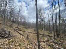 1357D SUNDAY LAKE DRIVE | North Frontenac Ontario | Slide Image Ten