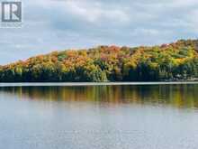 1357D SUNDAY LAKE DRIVE | North Frontenac Ontario | Slide Image Four