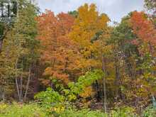 1357D SUNDAY LAKE DRIVE | North Frontenac Ontario | Slide Image Seven