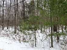 LOT 8 DEERFIELD DRIVE | Lanark Highlands Ontario | Slide Image Ten