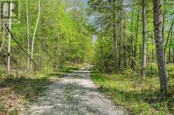 132 OLD MINE ROAD | Perth Ontario | Slide Image Fourteen