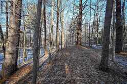 00 CLEAR LAKE ROAD | Rideau Lakes Ontario | Slide Image Ten