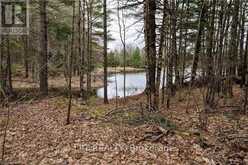 OLD SULPHIDE ROAD | Tyendinaga Ontario | Slide Image Sixteen