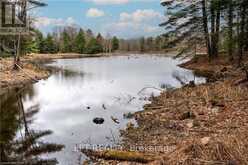 OLD SULPHIDE ROAD | Tyendinaga Ontario | Slide Image Eighteen