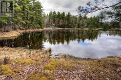 OLD SULPHIDE ROAD | Tyendinaga Ontario | Slide Image Twenty-two