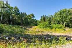 LOT 17 BARK BAY TRAIL | Madawaska Valley Ontario | Slide Image Five