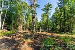 LOT 17 BARK BAY TRAIL | Madawaska Valley Ontario | Slide Image Seven