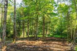 LOT 17 BARK BAY TRAIL | Madawaska Valley Ontario | Slide Image Eight