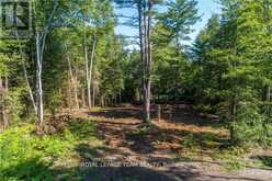 LOT 17 BARK BAY TRAIL | Madawaska Valley Ontario | Slide Image Nine