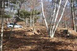00 HOPPER LANE | Rideau Lakes Ontario | Slide Image Two