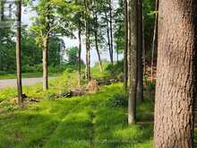 1680 CALABOGIE ROAD | McNab-Braeside Ontario | Slide Image Two