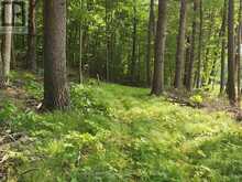 1680 CALABOGIE ROAD | McNab-Braeside Ontario | Slide Image Three