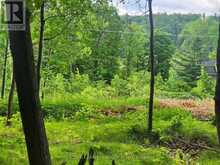 1680 CALABOGIE ROAD | McNab-Braeside Ontario | Slide Image Four