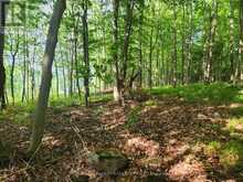 1680 CALABOGIE ROAD | McNab-Braeside Ontario | Slide Image Seven