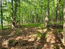 1680 CALABOGIE ROAD | McNab-Braeside Ontario | Slide Image Eight