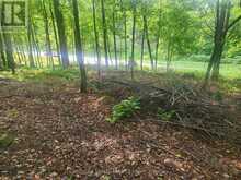 1680 CALABOGIE ROAD | McNab-Braeside Ontario | Slide Image Nine
