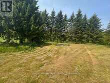 5296 PANMURE ROAD | Mississippi Mills Ontario | Slide Image Eight