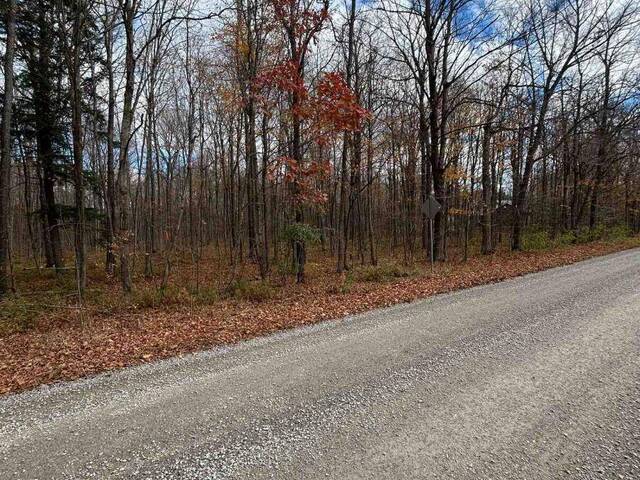 PT LT 17 KYLE ROAD Augusta Ontario, K0G 1R0 - Vacant Land For Sale
