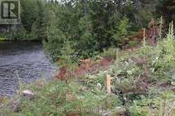 ### SWEETS LANE | Greater Madawaska Ontario | Slide Image Eighteen