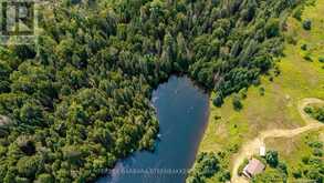 ### SWEETS LANE | Greater Madawaska Ontario | Slide Image Three