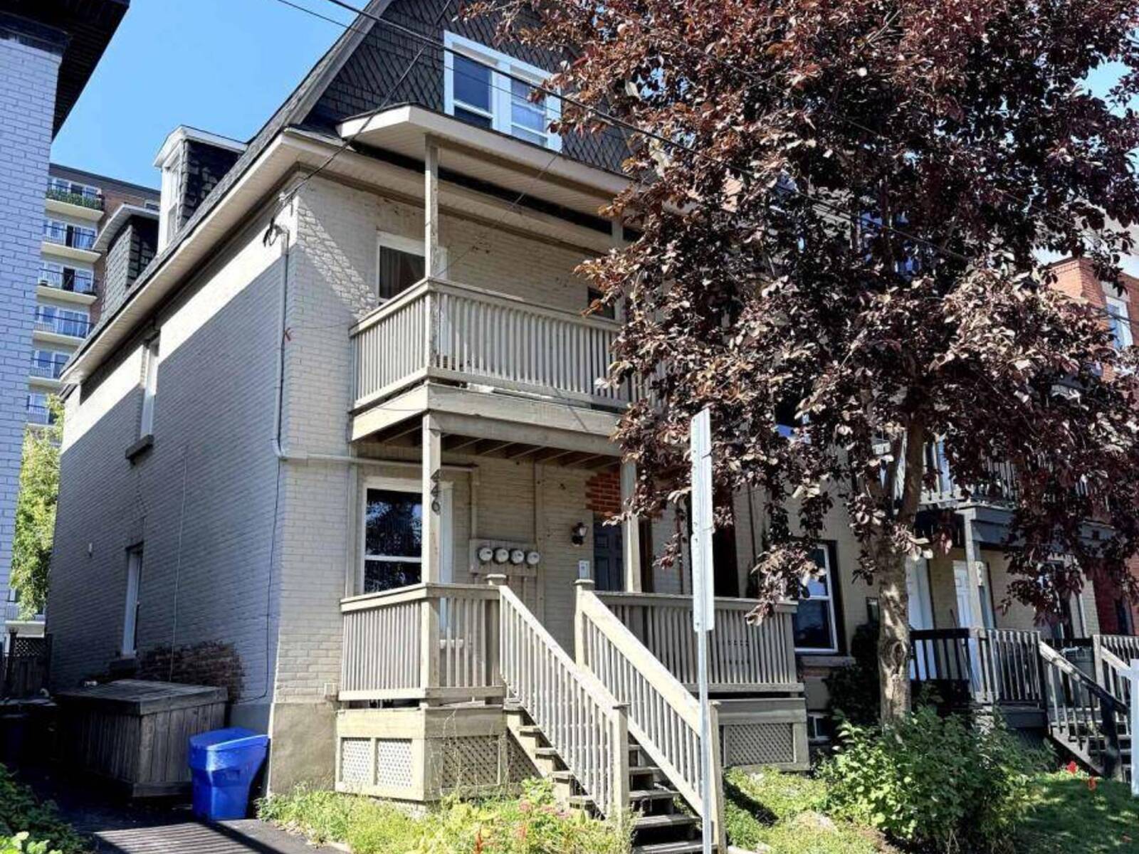 446 CAMBRIDGE STREET S, Ottawa, Ontario K1S 4H7