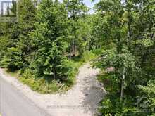 1385 SHERIDAN RAPIDS ROAD | Lanark Ontario | Slide Image Three