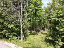 1375 SHERIDAN RAPIDS ROAD | Lanark Ontario | Slide Image Four