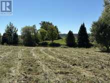 LOT 26 PRINCIPALE STREET | Alfred and Plantagenet Ontario | Slide Image Thirteen