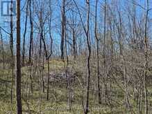 0 LITTLE CROSBY LAKE ROAD | Westport Ontario | Slide Image Four