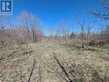 0 LITTLE CROSBY LAKE ROAD | Westport Ontario | Slide Image Eight