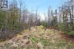 PT 1-00 HERRON MILLS ROAD | Lanark Ontario | Slide Image One