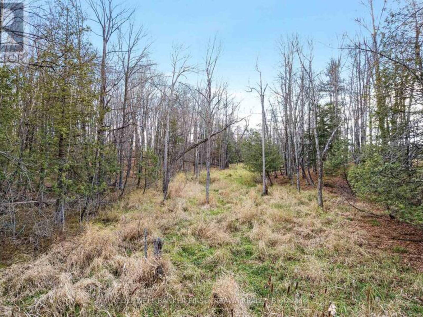 PT 1-00 HERRON MILLS ROAD, Lanark, Ontario K0G 1K0