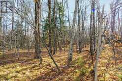 PT 2-00 HERRON MILLS ROAD | Lanark Ontario | Slide Image Five