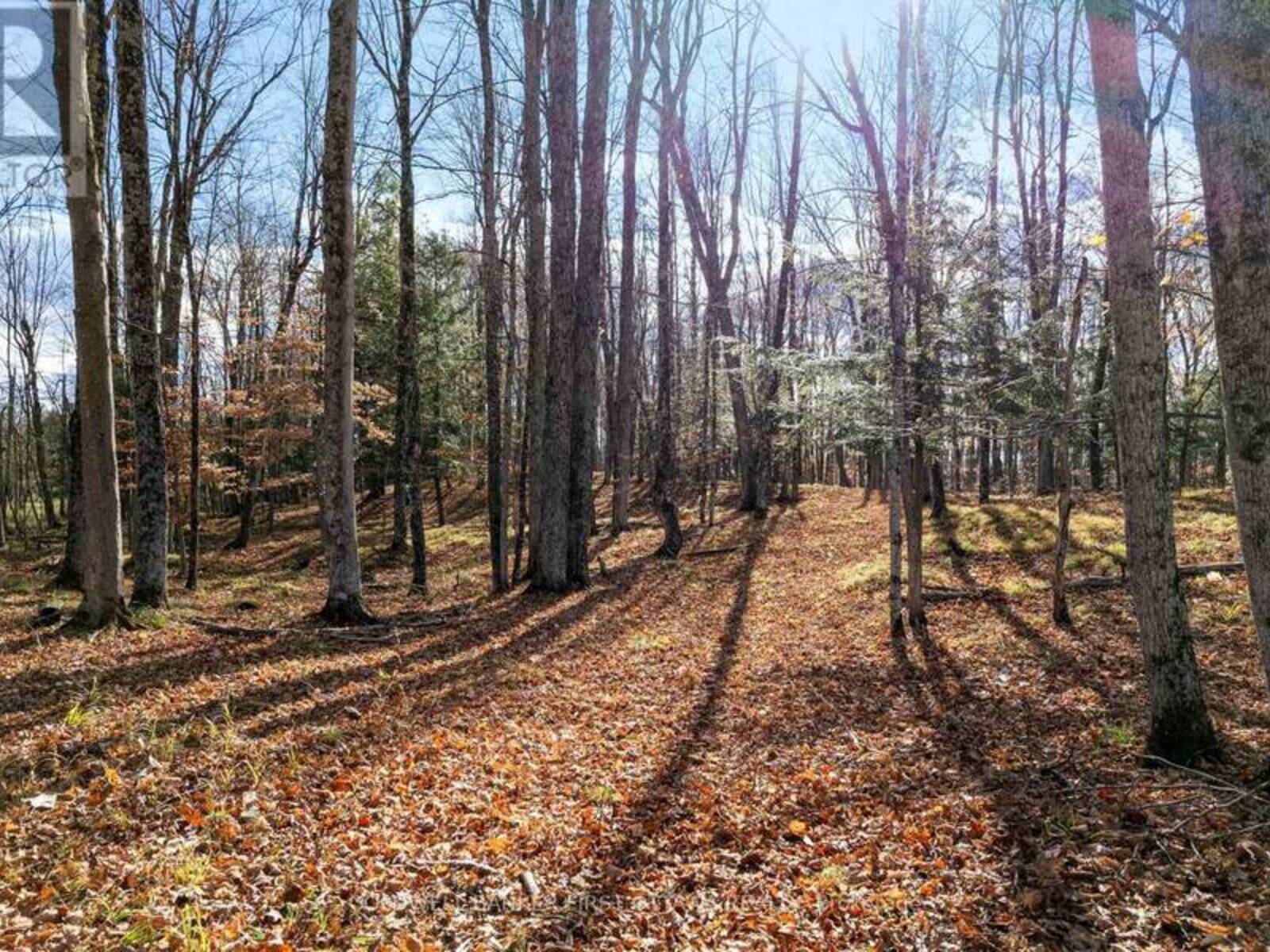 PT 2-00 HERRON MILLS ROAD, Lanark, Ontario K0G 1K0