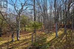 PT 3-00 HERRON MILLS ROAD | Lanark Ontario | Slide Image Five