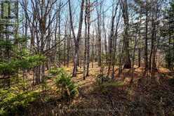 PT 3-00 HERRON MILLS ROAD | Lanark Ontario | Slide Image Six
