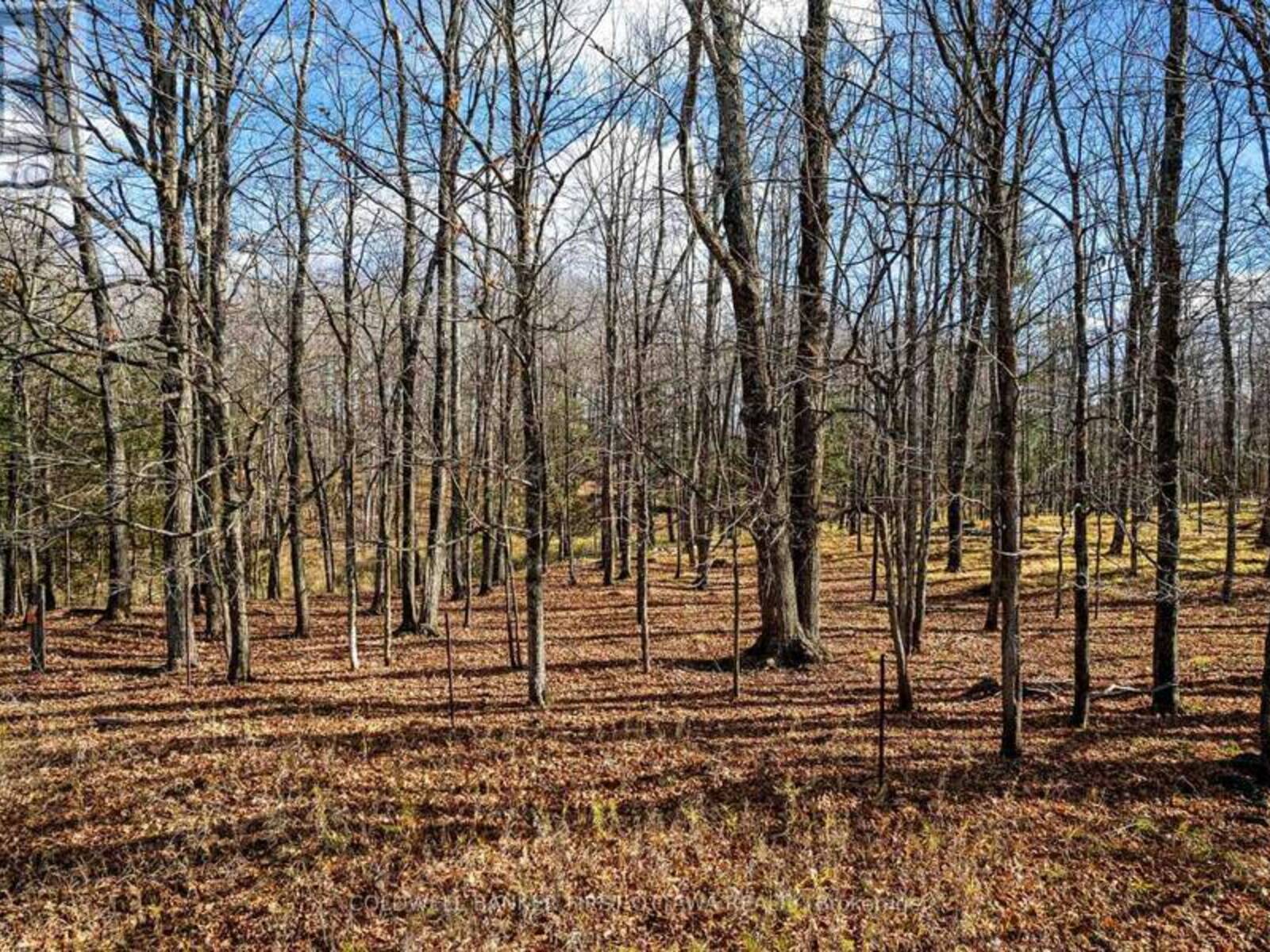 PT 3-00 HERRON MILLS ROAD, Lanark, Ontario K0G 1K0