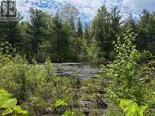 12654 LANARK ROAD | Greater Madawaska Ontario | Slide Image Seventeen