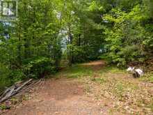 12654 LANARK ROAD | Greater Madawaska Ontario | Slide Image Twenty-four
