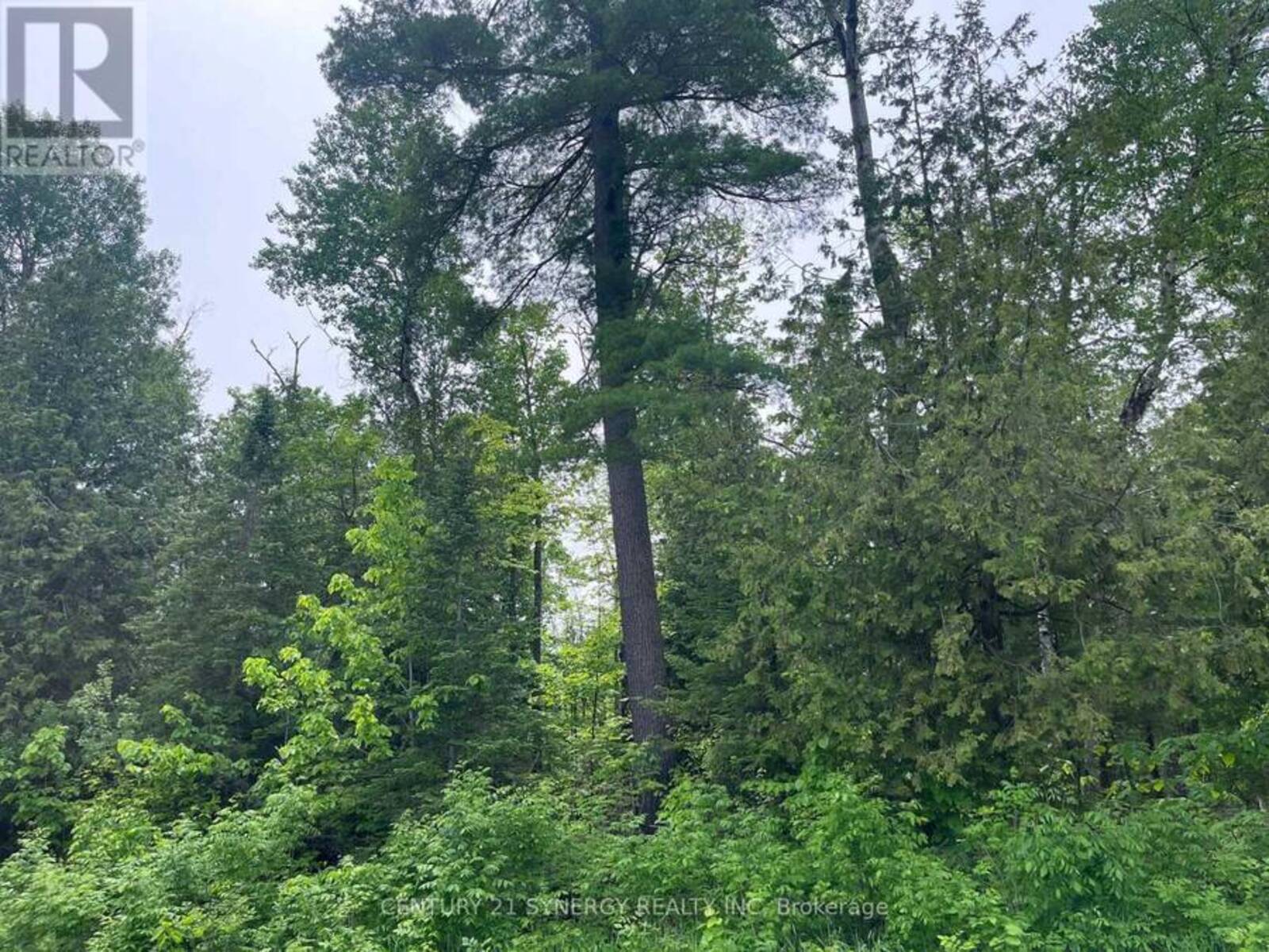 00 BELLAMY ROAD, Lanark Highlands, Ontario K0A 3L0