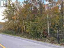 00 COUNTY ROAD 20 ROAD | North Grenville Ontario | Slide Image Three